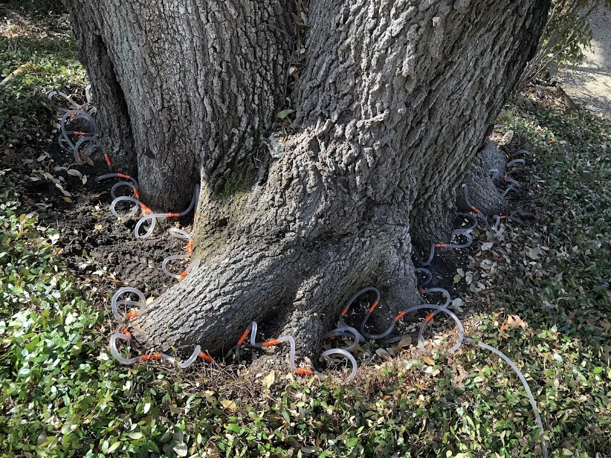 Detailed Shrub and Hedge Trimming job site in Hornbeck