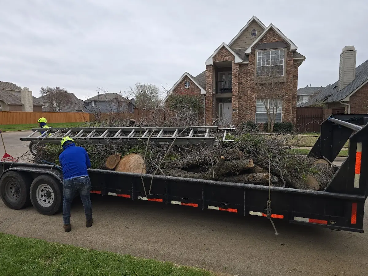Expert Tree Pest Control with proper safety equipment in Hornbeck